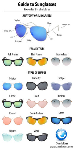 Sunglasses Parts & Shapes Infographic